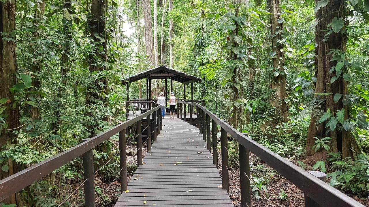 Ciudad Perdida Ecolodge Cahuita Exterior foto